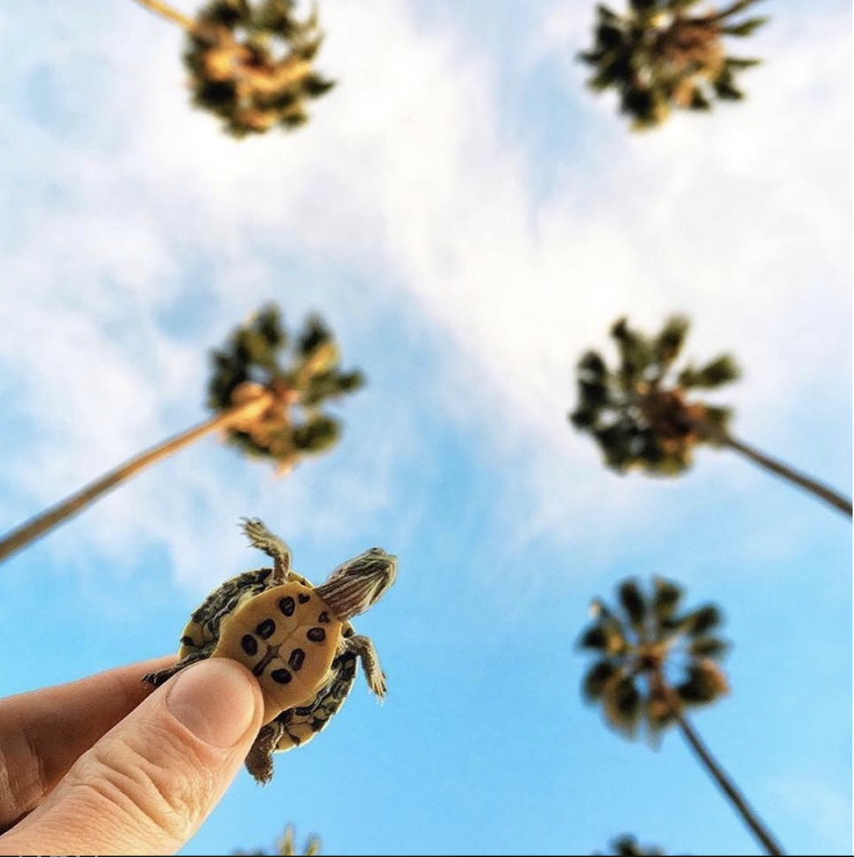 Как измерить энергетический уровень человека